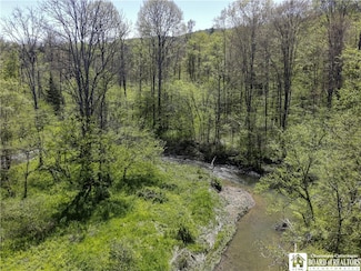 1581 Chipmonk Rd, Carrollton, NY 14706
