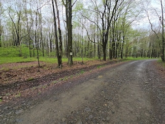 60 Fuller Road Lot Unit WP006, Triangle, NY 13778