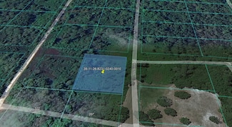 0 Daniel Boone Ave, Satsuma, FL 32189