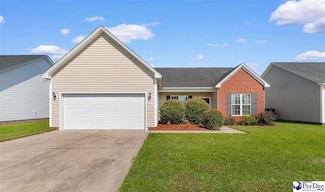 3026 Red Berry Cir, Effingham, SC 29541