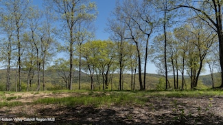 132 Valley View Way, Woodstock, NY 12448