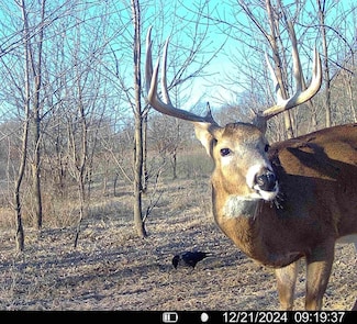 0000 Hwy 54, Eureka, KS 67045