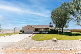 4024 5945 Rd, Olathe, CO 81425