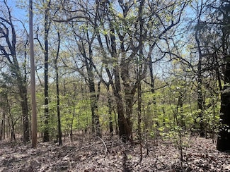 0 1 3 Acres E 1168 Rd, Eufaula, OK 74432