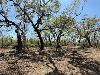 0 County Road 860, Sweeny, TX 77480