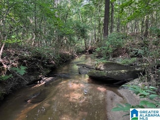 63445 Alabama 22 Unit 70 Ac, Roanoke, AL 36274