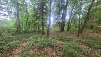 1429 Casey Creek Rd, Chesnee, SC 29323