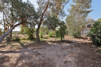 55 Siddall Ave, Las Vegas, NV 89183