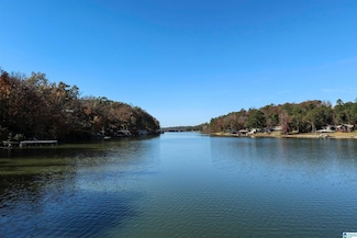 793 Shelton Shores Dr, Talladega, AL 35160