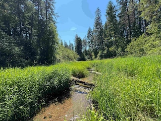 340 N Beck Ln Unit Lot 9, Springdale, WA 99173