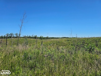 000 Pea Ridge Rd, Waterloo, AL 35677
