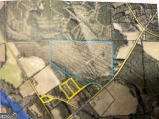 0 Beards Bluff Rd, Odum, GA 31555