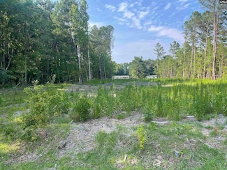 880 Unity Ct, Sumter, SC 29153