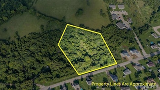 1174 Hawthorne St, Desloge, MO 63628