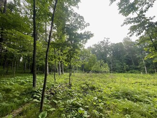 Lot's 4,5 & 6 Anderson Hill Ln, Boyceville, WI 54725
