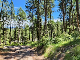 TBD Klondike Rd, Republic, WA 99166