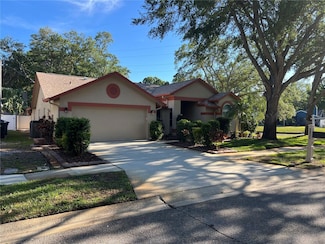 5836 Coffee Bean Dr, Clearwater, FL 33760