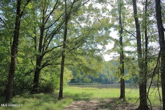 154 Mccarty Rd, Byram, MS 39212