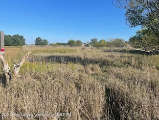 0 S Watson Rd, Ovid Township, MI 48879