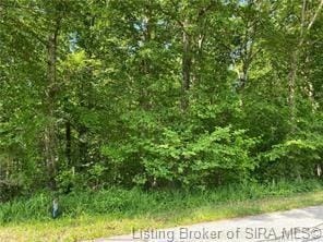 Tract 2 Mt Tabor Rd NW, Ramsey, IN 47166