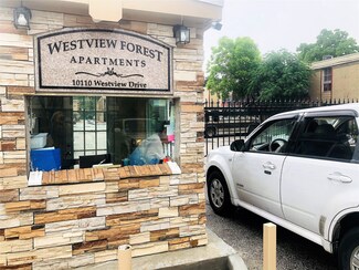 10110 Westview Dr Unit 1008, Houston, TX 77043