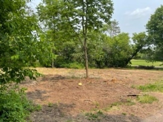 0 Ridge St, Mountain, WI 54149