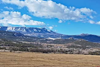 12482 54 7 10 Rd, Collbran, CO 81624