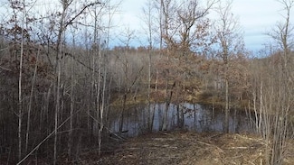 W58XX Oakridge Dr, Brooklyn, WI 54888