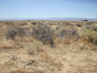 Ave A 12 W 43rd St, Del Sur, CA 93536