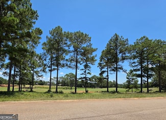 LOT 10&11 Camden Way, Hawkinsville, GA 31036
