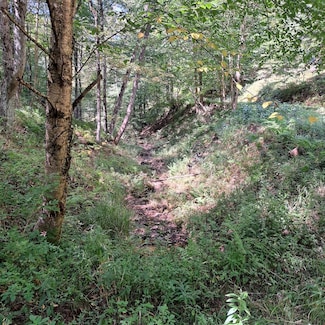 Doe Run Rd Unit LotWP001, Galeton, PA 16922