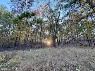 0 Whitetail Dr, Berkeley Springs, WV 25411