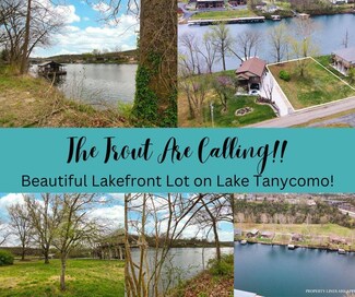 808 Sunset Rd, Branson, MO 65616
