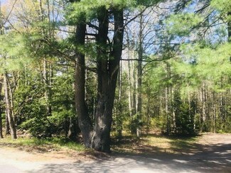lot 25 Ready Point Rd, Wiscasset, ME 04578