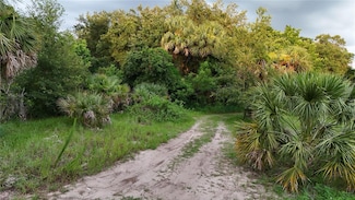 839 Summerall Ave, Tavares, FL 32778
