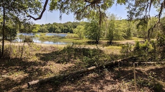 124 NE 841st Ave, Old Town, FL 32680