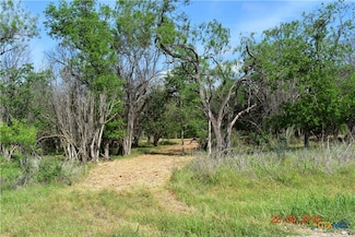 000TBD Caney Creek Rd, New Braunfels, TX 78130