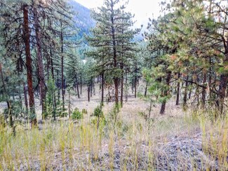 Tbd Tarkio Loop Rd, Superior, MT 59872