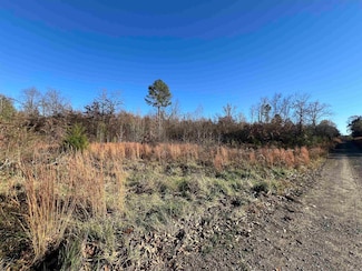 990 - A Mahan Dr, Center Ridge, AR 72027