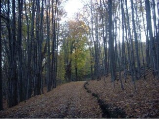 0 Notch Rd, Orange, VT 05649