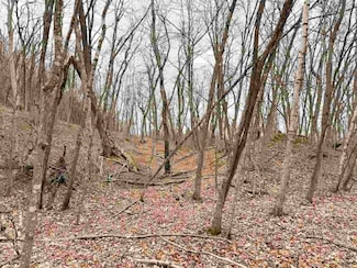 TBD White Birch Rd, Beaver Island, MI 49782