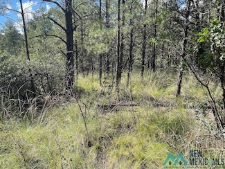 52 Oakmont, Timberon, NM 88350