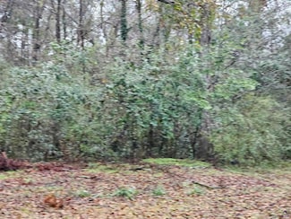 0 Flanders St, Dublin, GA 31021