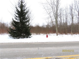 0 Tonawanda Creek Rd, Clarence Center, NY 14032