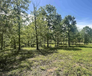 Lot 1 Grant County Road 762, Sheridan, AR 72150