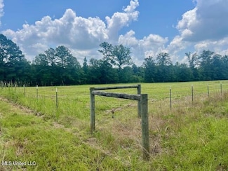 00 Hilton Ln SW, Smithdale, MS 39664
