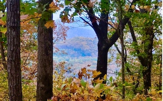 43.91 Old Burnt Mountain Rd, Ellijay, GA 30536