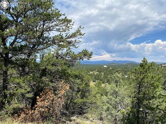 236 Marion Ln, Cotopaxi, CO 81223