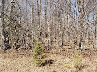 4th Add. Margaret Ln Unit Lot 14, Park Falls, WI 54552