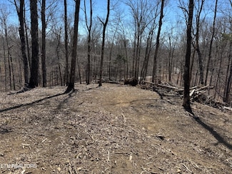 0 Heatley Ln Unit 1291908, Sevierville, TN 37862